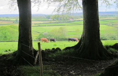 Dromore House Historic Country house - Foto 46