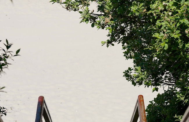 Reetland am Meer - Photo 46