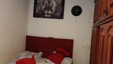 Mariana Ferreira Pereira - Foto 2