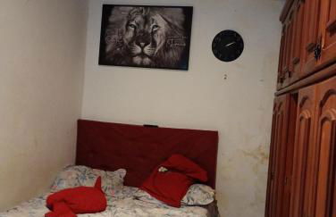 Mariana Ferreira Pereira - Foto 2