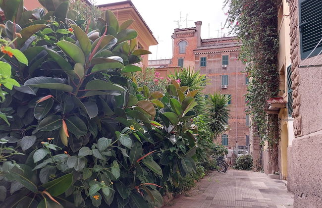 Grazioso bilocale al Vaticano - Foto 58