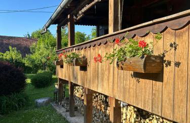 Dorina hiža - Foto 15