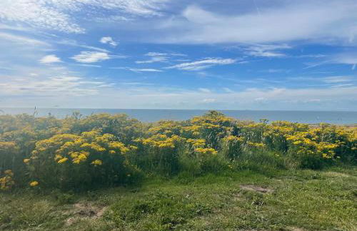 2 Chambres face à la mer En terrasse La Naturelle - Foto 23