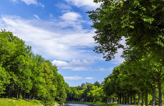 Royal Canal Boat Tour - Foto 1