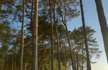 Positive energy 1 - Foto 15