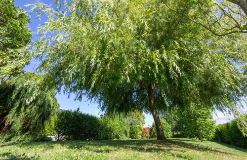 Apartamentos El Guindal - Foto 9