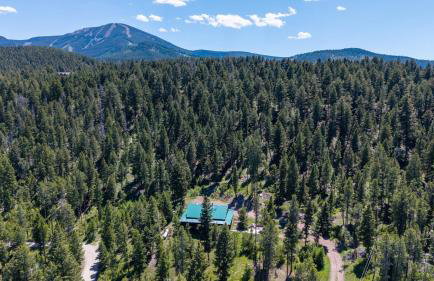 Dog Friendly Mountain Cabin with Hot Tub - Foto 42