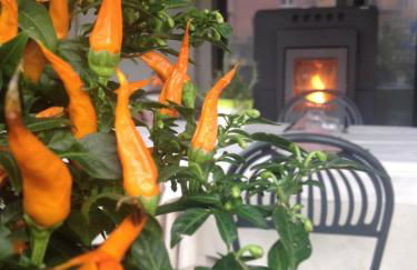 Casa Vacanza LA SCALETTA - Foto 13