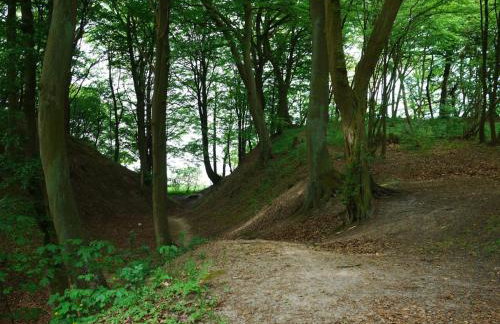 Ferienhaus Hendrikje - Foto 20