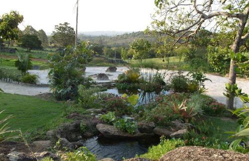 Sítio Terra Mãe - Foto 12