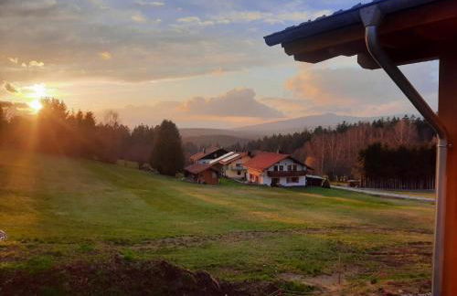 Blockhaus am Baumwipfelpfad - Foto 52