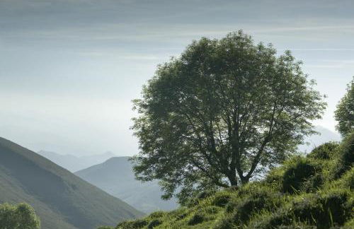 Aptos La Corona-Cabrales-Picos de Europa - Foto 30