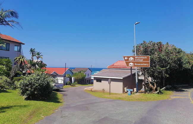 Rosscarbery 7 - Photo 11