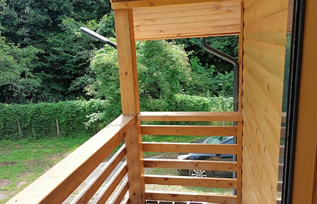 ART House Transylvania Sibiu - Foto 5