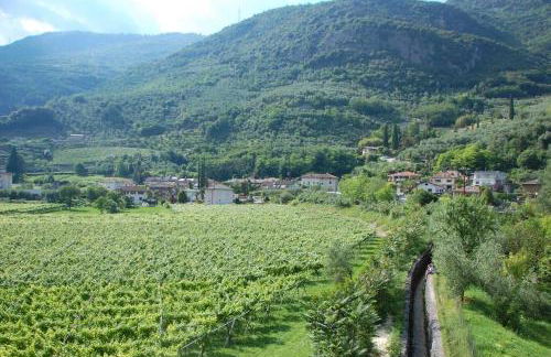 Via Verdi una casa nel verde - Foto 10