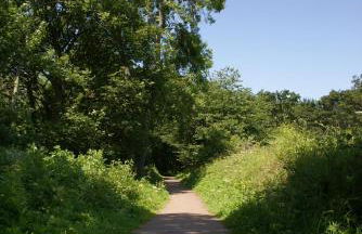 Wee Corsee - Foto 29