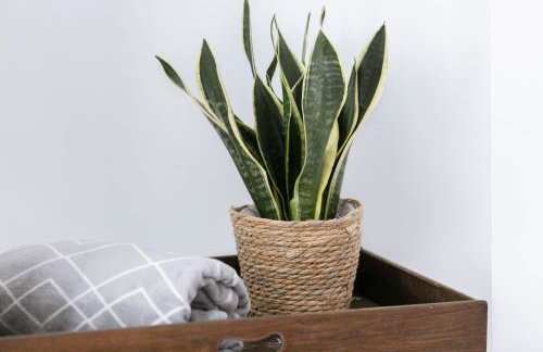 Peaceful Apartment - Dedicated Free Parking - Walk to Centre, Uni, Hosp - Business and Leisure - Contact For Long Stays - Foto 20