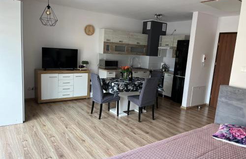 Studio Green - Foto 10