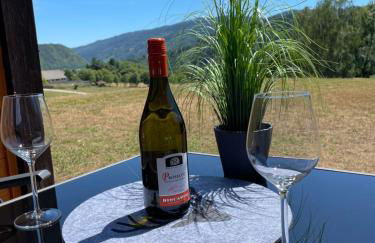 Apartment Wildbert mit Blick auf die Donau, nur Feriengäste willkommen, keine Arbeiterunterkunft! - Foto 21