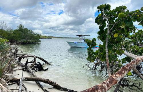 Golfers Paradise 4-hole PUTT-PUTT, Mega Chess with huge backyard, hammock - Photo 47