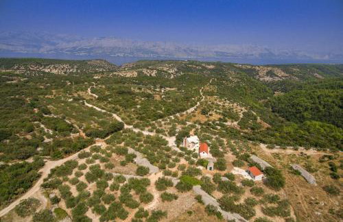 Villa Dubrava Peaceful Getaway in an Olive Grove with Heated Pool - Foto 27