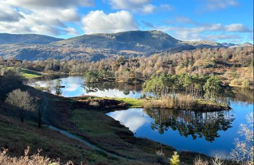 Yewfield Self Catering Apartments - Foto 18