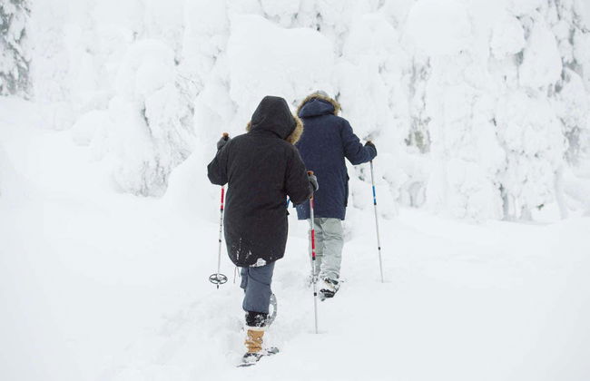 Tour con racchette da neve al Parco Nazionale Pyhä-Luosto - Foto 3