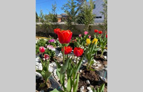 Charming apartment in Becerril de la Sierra - Foto 14