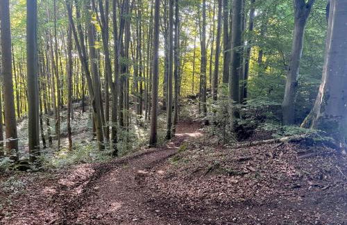 Ferienwohnung Högenbachtal - Foto 25