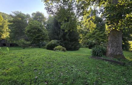 Yellow Creek Cabin - Foto 104