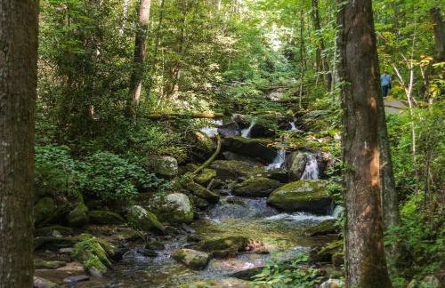 Mountain Top Retreat - Foto 43