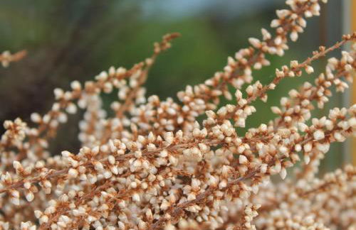 Wohnung in Zarnewanz nahe Ostsee - Foto 12