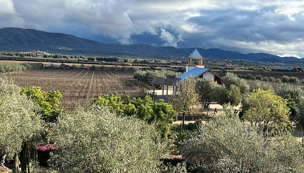 Private Deluxe Wine Tour to Valle de Guadalupe by Luxury Vehicle - Photo 4, View from Finca Carrodila