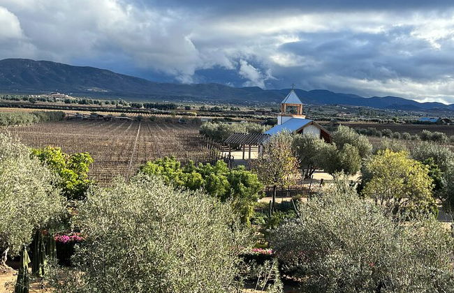 Private Deluxe Wine Tour to Valle de Guadalupe by Luxury Vehicle - Photo 4