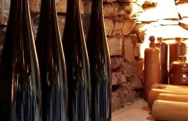 Foahrgaass 7a Modern Retreat - Foto 19