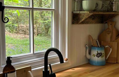 Cornwall Woodland Shepherd's Hut with Hot Tub - Deirdres Hut - Foto 49