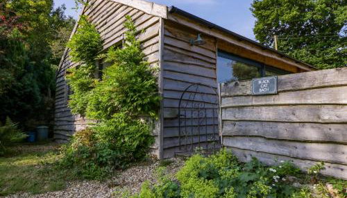 Black Cat Bach - Foto 3