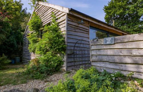 Black Cat Bach - Foto 3