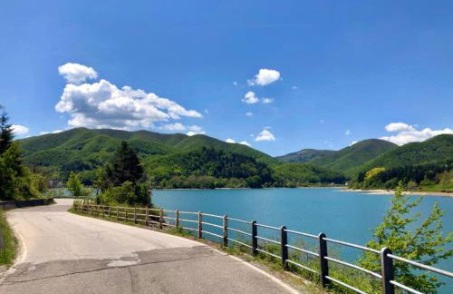 Simona Comfort e Relax tra Bologna e Firenze 8 min A1 - Foto 59