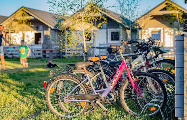 New Holiday Homes for 5 People in Dziwnowek.-formerly TUI Ferienhaus - Foto 7