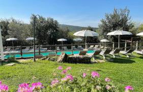 Agriturismo e Glamping Serraiola Alta - Foto 2