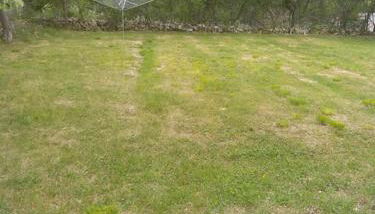 Gîte de vacances 12 couchages plus 2 lits bébés - Foto 3