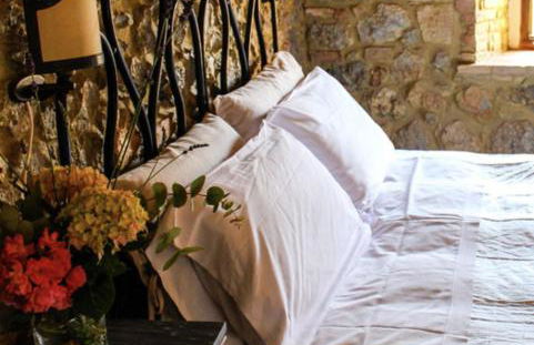 Fattoria San Donato - Foto 31