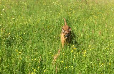 Ortmanns Eulennest - Foto 39