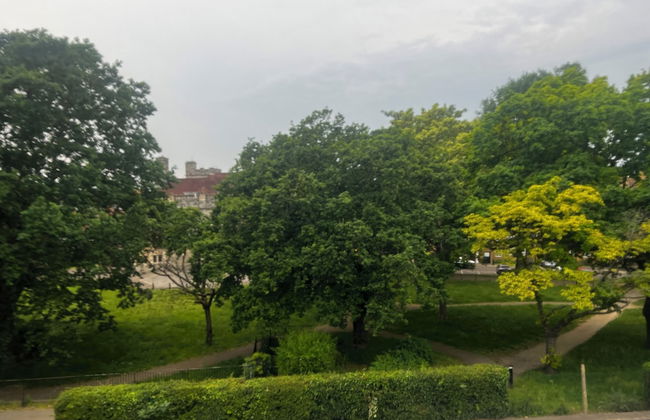 Cosy Dulwich Next to Arts Centre Crystal Palace - Foto 10