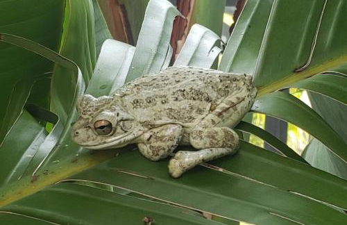 Peaceful Oasis - Foto 64