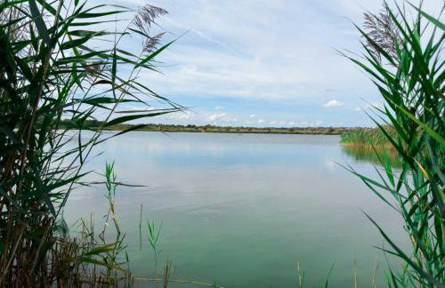 Navigation Cottage on the Historic Sea Lock overlooking the Nature Reserve - Foto 28