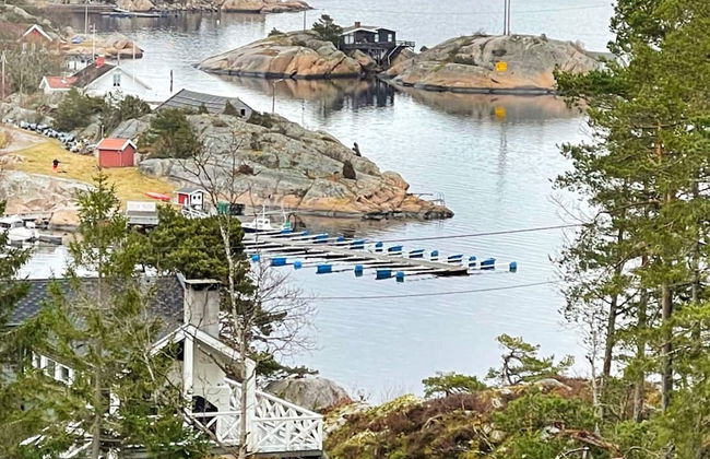 10 Person Holiday Home in Skjaerhalden - Foto 24