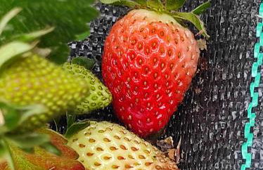 Casa do Alto (top floor apartment) - Foto 56