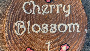 Love Nests by The Bell Tower Lodge - Foto 4